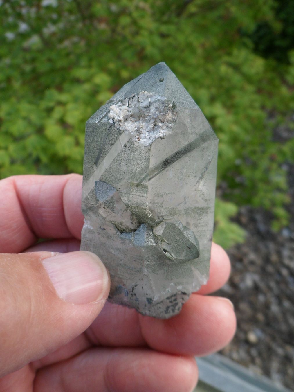 Minerali & Pietre curative: Bergkristall, Anhydritholnadel, Schweiz, Selten – Usato da Affoltern am Albis venduto da Fossil60 1