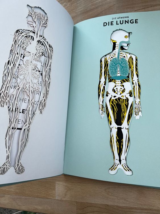 Libri: Kinderbuch Anatomie – Usato da Stadel venduto da avoegelifrei 1