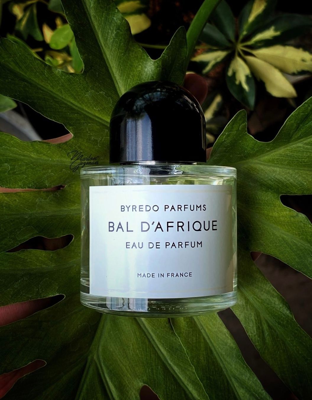 Byredo Parfum & Eau de Toilette: Bal d'Afrique by Byredo  6 ml sample – Neu (gemäss Beschreibung) aus Chêne-Bougeries von Seetooyoo 2