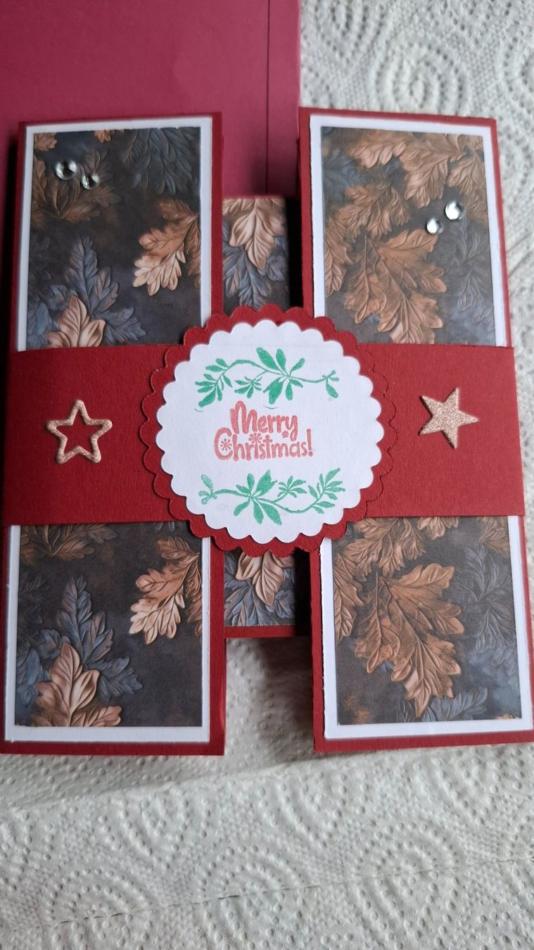 Cartes: Handgemachte Weihnachtskarte mit Kuvert rot – Neuf (Voir description) à Plagne par Reticulum01 6