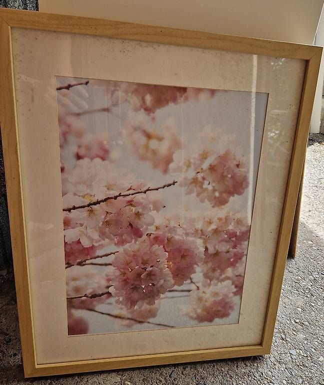 Poster & Bilder: Schreibunterlage und diverse Bilder – Gebraucht aus Niederlenz von Findus024 4