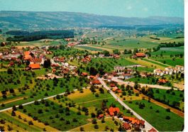 Flugaufnahme Ballwil
