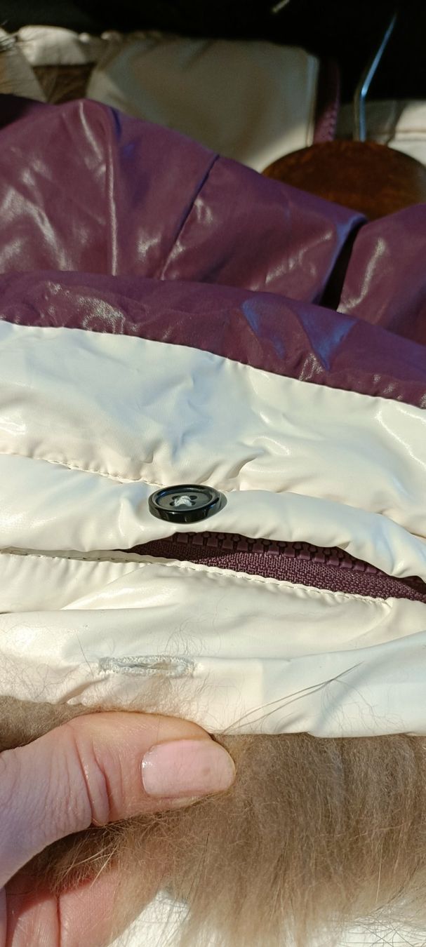 Giacche: Winter Daunen Jacke Gr.M – Usato da Zollikofen venduto da Proseco 7