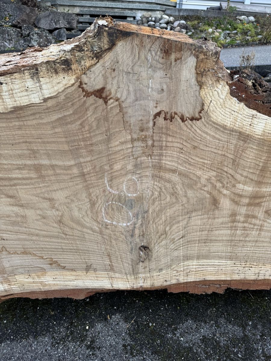 Articoli in legno: XXL - Tischplatte aus einem Stück - massive Baumscheibe – Usato da Gränichen venduto da onkel_xxl 2