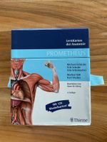 Anatomie Lernkarten von Thieme