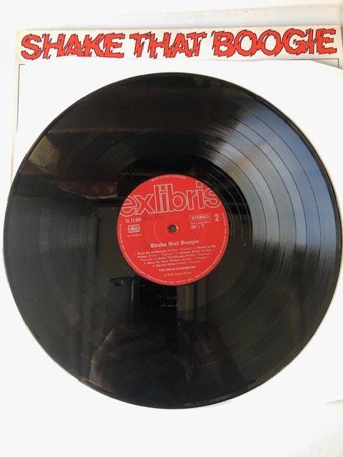 Dischi in vinile: The Mojo Bluesband – Usato da Aarwangen venduto da Jukebox3 7