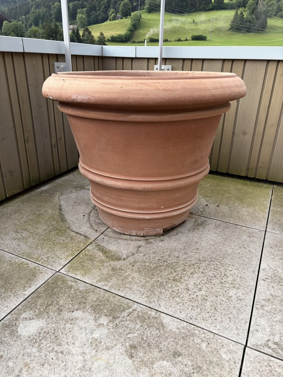 Pots de fleurs: Terrakotta Blumentopf – D'occasion à Bühler par tulipe013 2