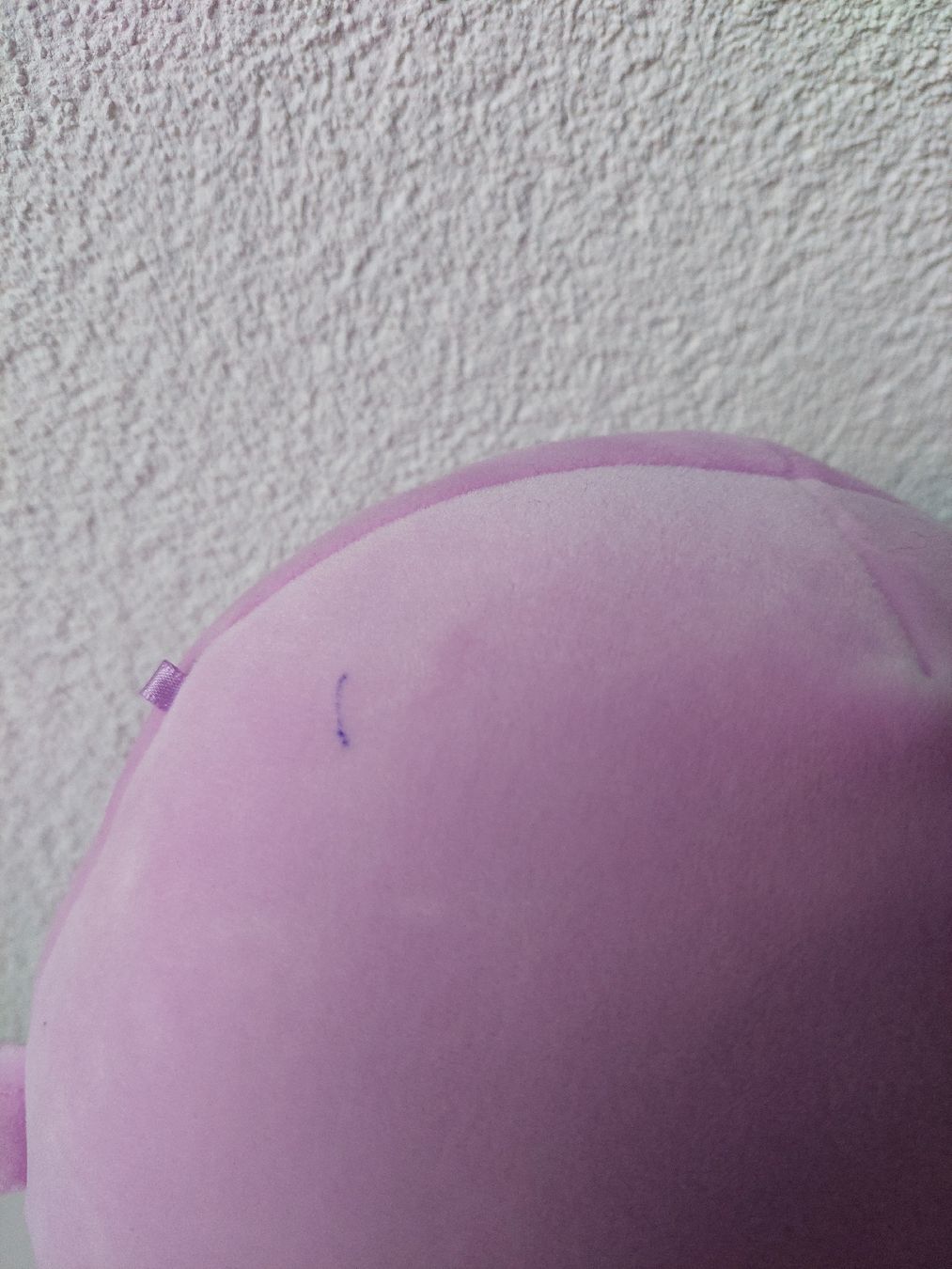 Squishmallows Giocattoli: Squishmallows Plüschtier Robbe – Usato da Liesberg Dorf venduto da FamilieBond007 3