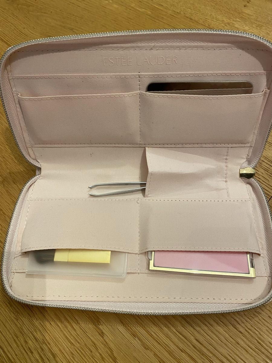 Estée Lauder Custodie per cosmetici: Estée Lauder Reise-Etui mit Rouge – Nuovo (secondo la descrizione) da Wetzikon ZH venduto da purple_44 1
