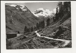 AK 1960 Fextal (Ober-Engadin) mit Chapütschin