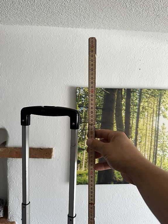 Altro per la casa: Einkaufswagen – Usato da Rebstein venduto da Svnb03 2
