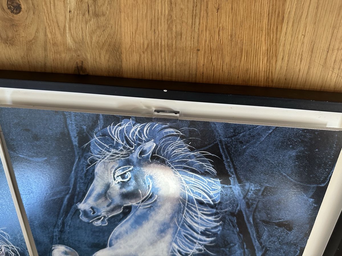 Foto & Immagini: Hans Erni Pferde Triptychon limitierte Edition nummeriert – Nuovo e nell'imballaggio originale da Muenchenstein venduto da Holiduli 5