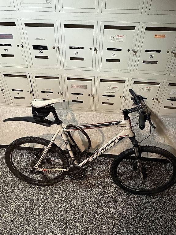 Biciclette: Mountainbike Grösse L/56 – Usato da Zürich venduto da James_Kr 1