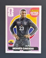 Moisés Caicedo (Regular) - Panini FIFA WM 2026 Extra Sticker