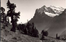 Wetterhorn Postkarte vintage, Weg zur Scheidegg