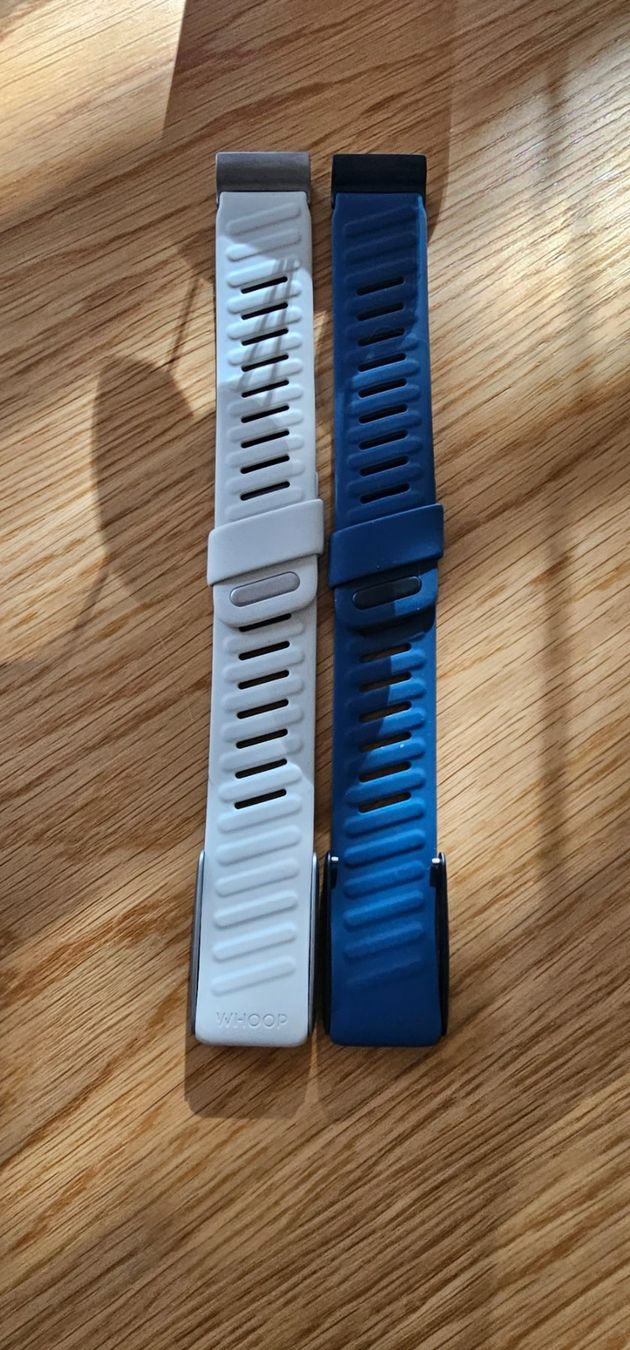 Autres pour bricolage & couture: Original Whoop Sportflex Bands 4.0 – Neuf (Voir description) à Zürich par Yllka.ja