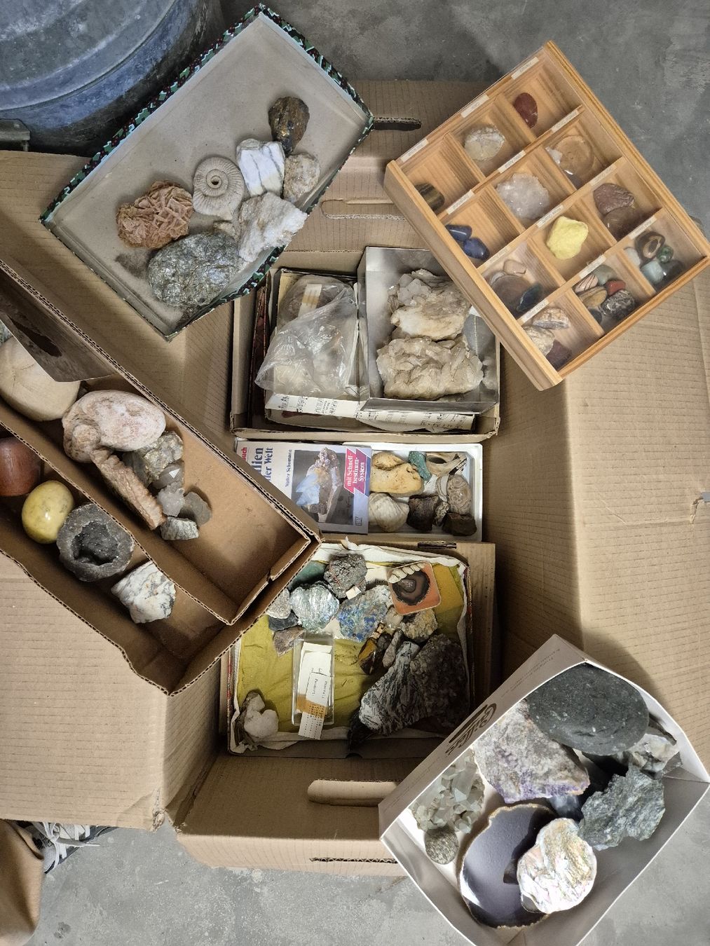 Minerali & Pietre curative: Steinsammlung – Usato da Untereggen venduto da petrol72