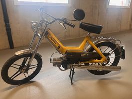 Puch Maxi N neu aufgebaut, Frisch ab MFK 3 Monate Garantie