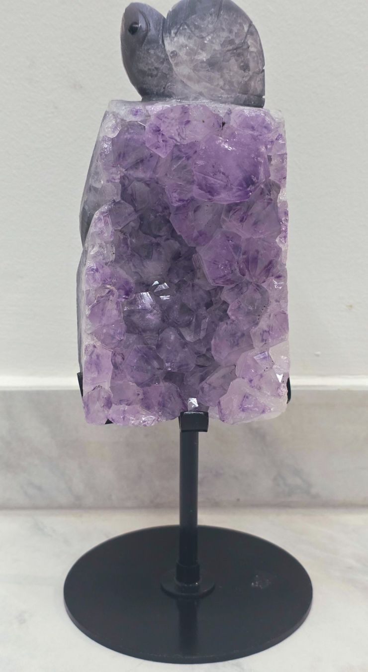 Minerali & Pietre curative: Amethyst Stufe auf Stand 1.1kg – Nuovo e nell'imballaggio originale da Matzingen venduto da Shay_Crystalz