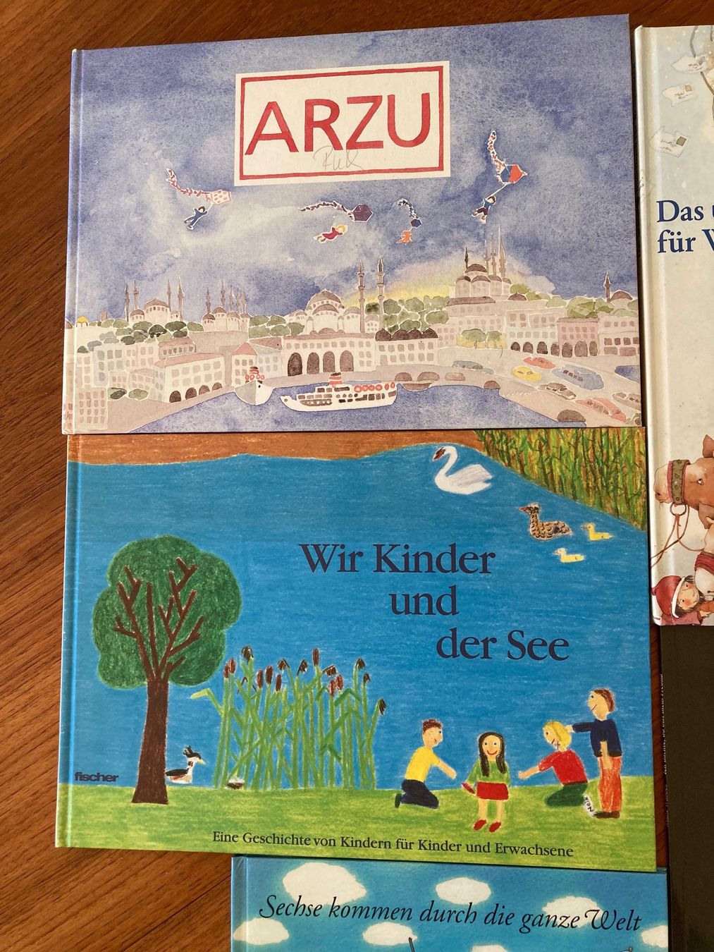 Libri: 9 Kinderbücher, unbelesen – Nuovo (secondo la descrizione) da Bern venduto da wilhelmine02 1