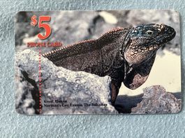 Telefonkarte Bahamas, Iguana