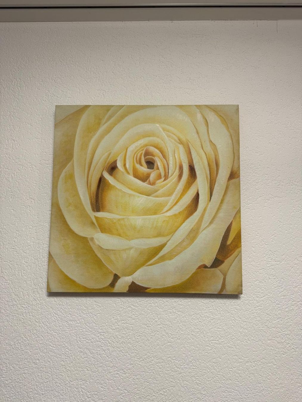 Foto & Immagini: Wandbild "Weiße Rose" auf Leinwand – Usato da Aarburg venduto da Injac
