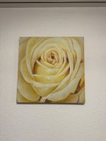 Wandbild "Weiße Rose" auf Leinwand