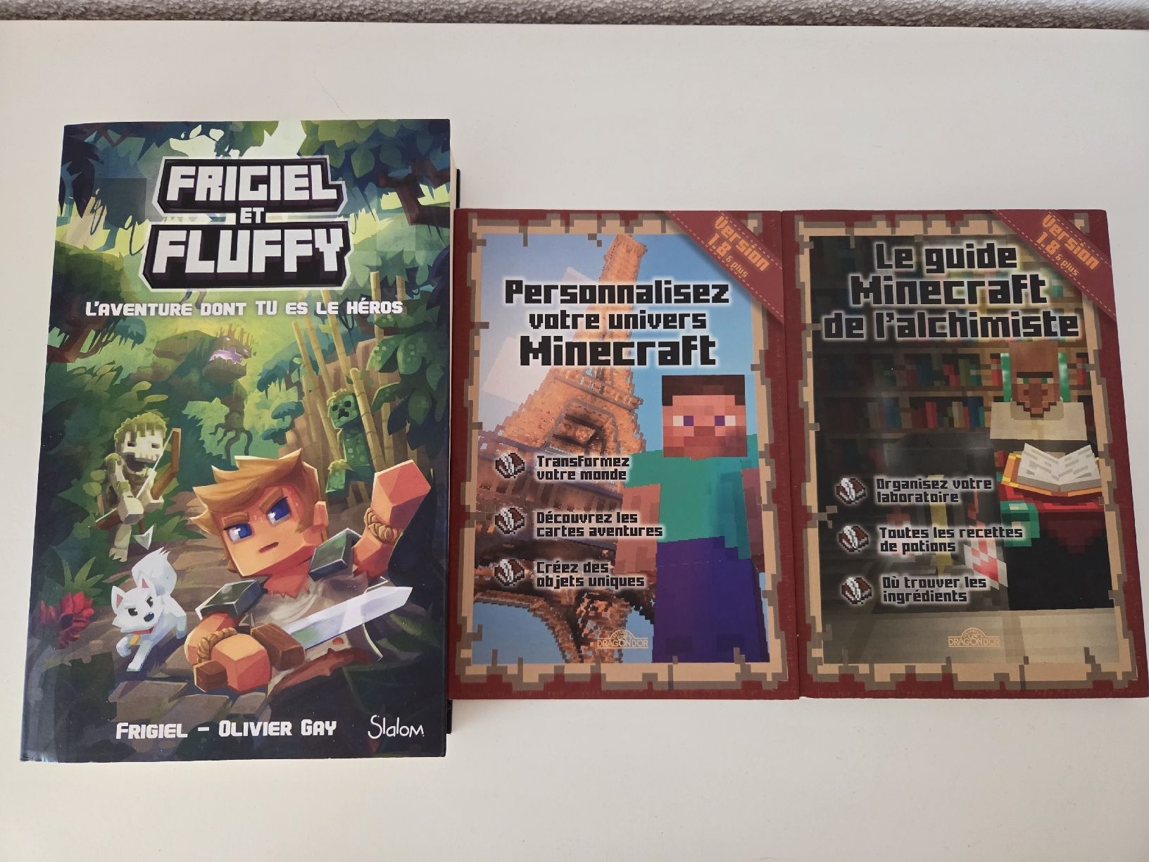Libri: Lot de 3 livres Minecraft – Usato da Delémont venduto da HappyGirl