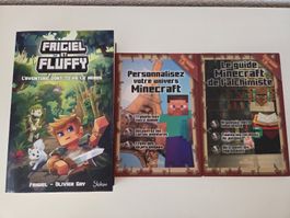 Lot de 3 livres Minecraft