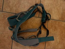 Klettergurt Mammut