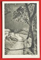 AK MISCHOL SCHIERS LUZEIN GRAUBÜNDEN WEINFELDEN THURGAU 1924