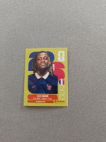 Panini FRA11