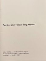 Roni HORN - DEAD BODY - Nauman - Marden - Turrell - Kunst