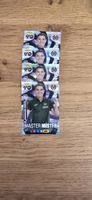 Laliga Panini MASTER MÍSTER