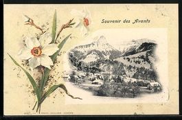 Les Avants, Ortsansicht aus der Vogelsch
