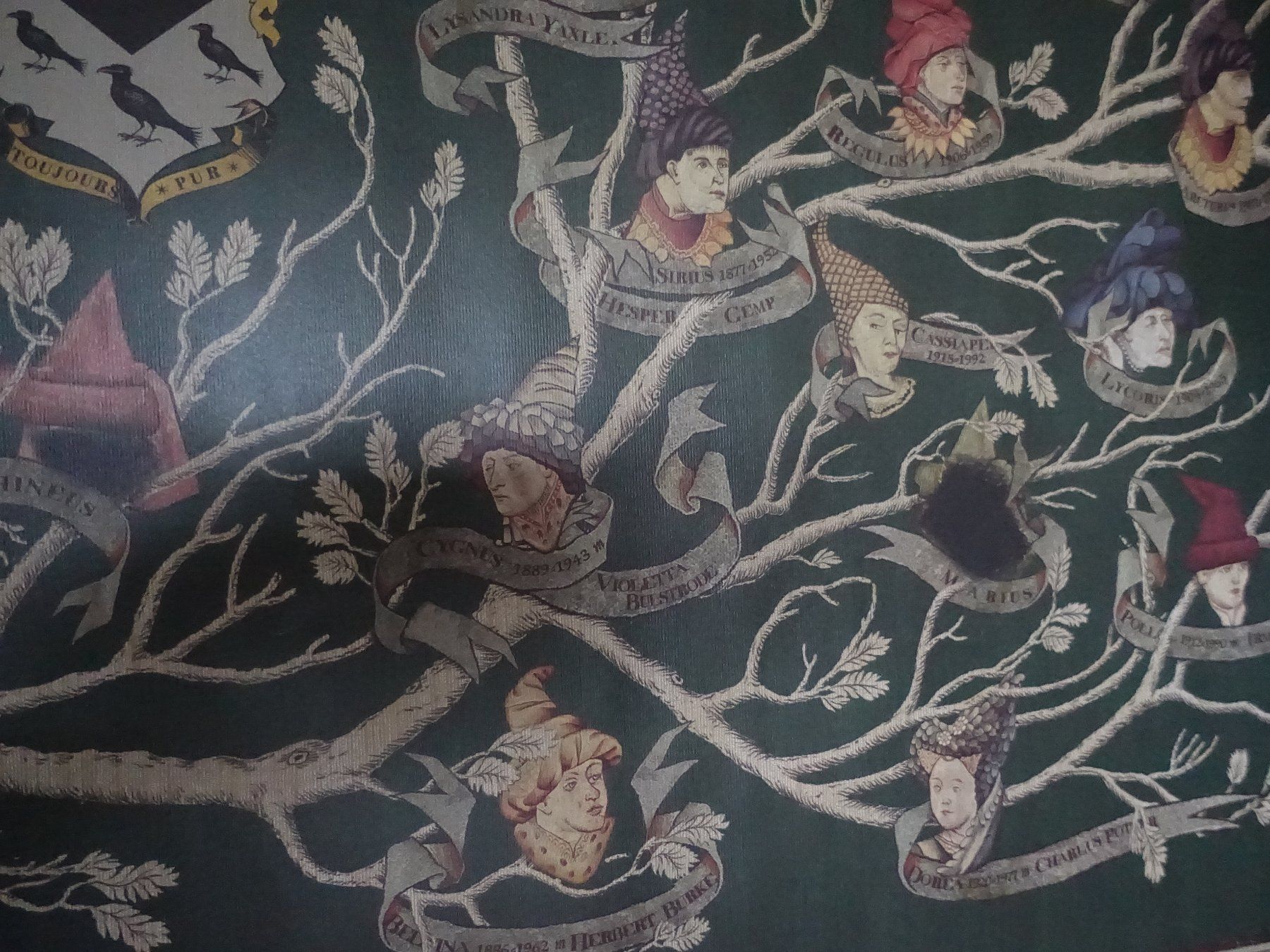 Foto & Immagini: Harry Potter Black Family Poster – Usato da Glattfelden venduto da tdlubek 2