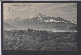 Steinhausen  ZG   -   alte Ansichtskarte von 1913