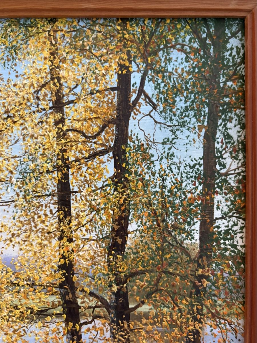 Foto & Immagini: Gemälde Herbstlandschaft "EU 93", Original mit Rahmen – Usato da Rothenburg venduto da meg_ln8t 1