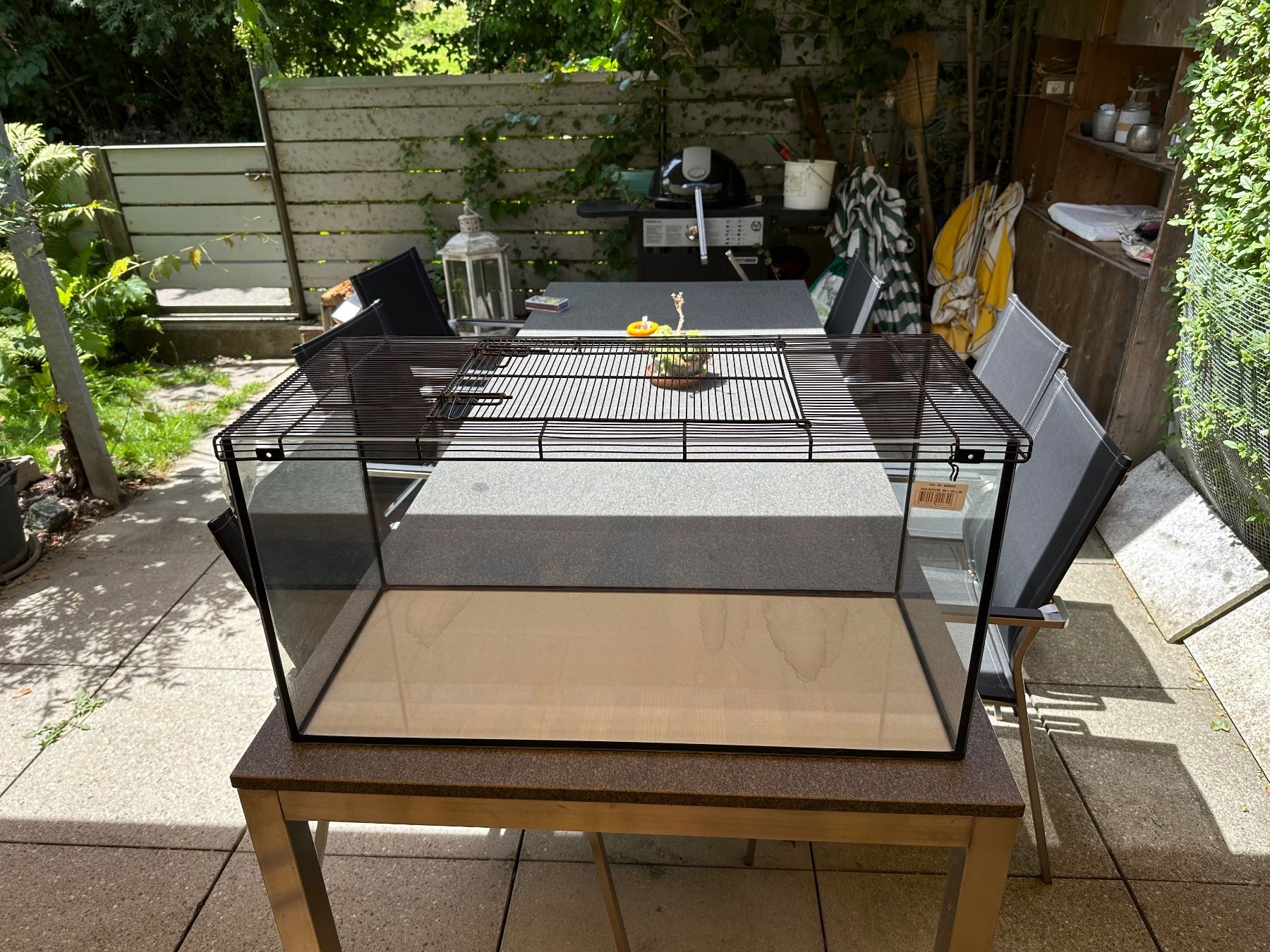 Terrariums: Terrarium 82cmx37cm – D'occasion à Hünenberg See par gin_7fm9