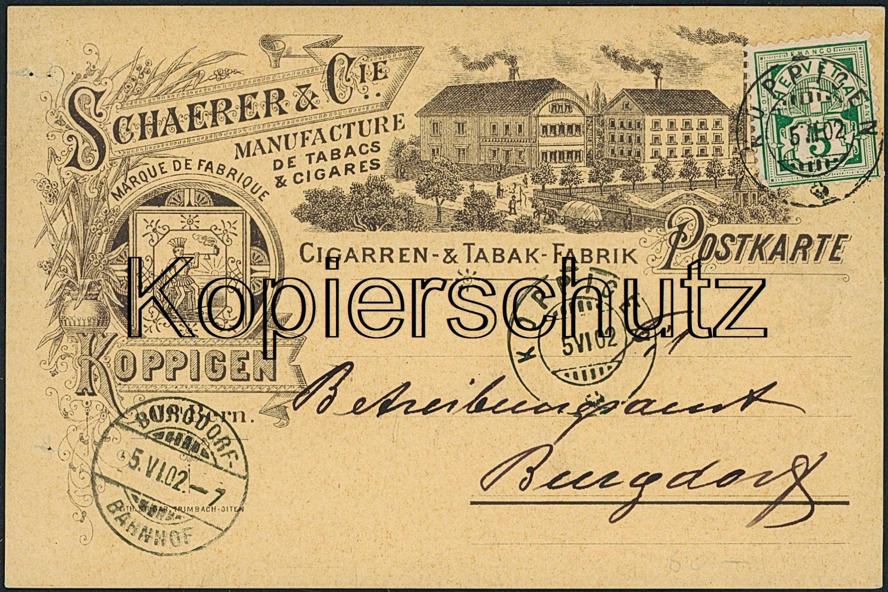 Cartoline postali: BE Koppigen - Litho - Tabak - Burgdorf BE – Usato da Schindellegi venduto da dolpitz