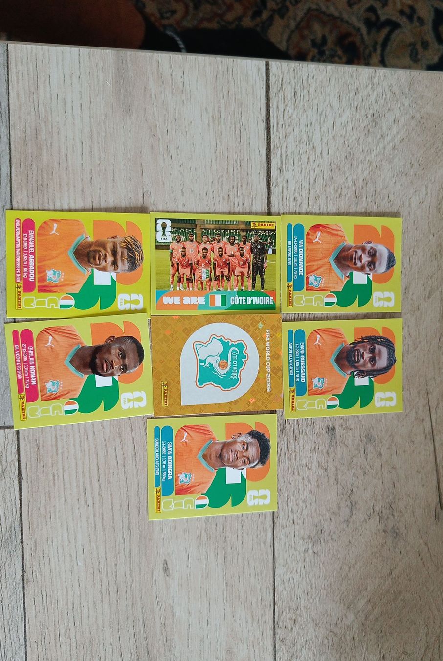 Panini Sammelbilder & Trading cards: Panini Stickers Elfenbein Küste  – Neu (gemäss Beschreibung) aus Bellach von ale_9x6j