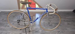 Pinarello Treviso
