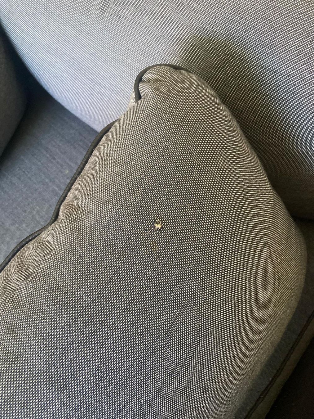 Hay Sessel: Hay Sessel Can, Stoff – Gebraucht aus Zürich von Fabinhow 3