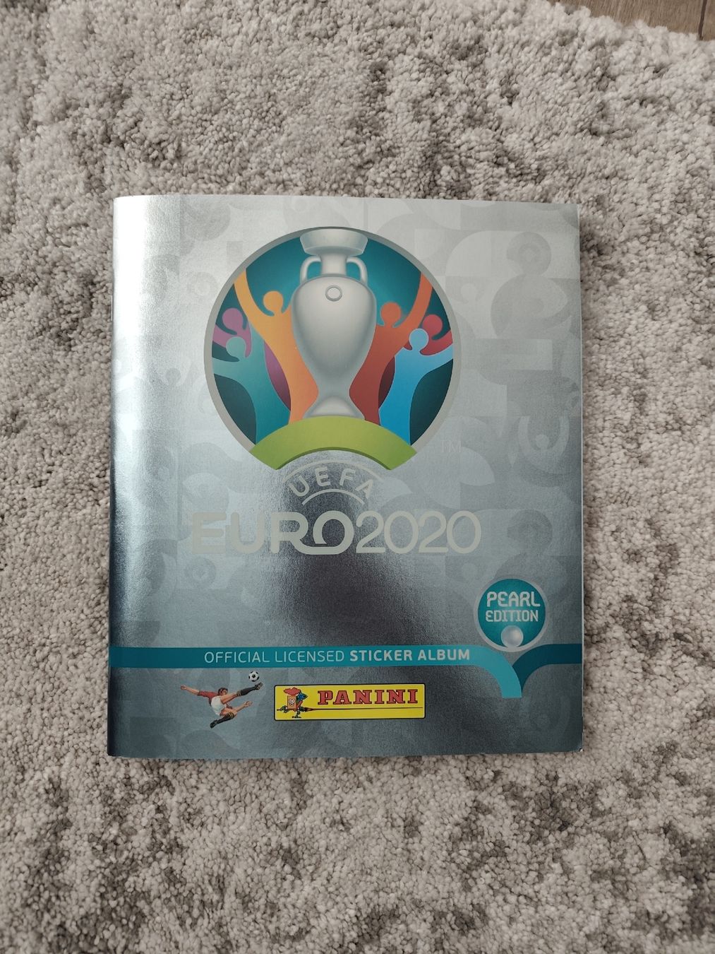 Panini Album: Panini EM 2020 komplett – Usato da Kreuzlingen venduto da m0ritz.sch
