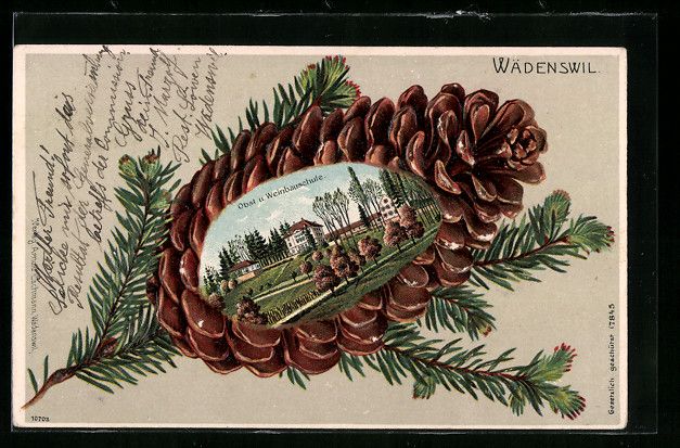 Cartoline postali: Präge-Lithographie Wädenswil, Obst- un – Usato da Berlin venduto da bartko-reher