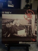 TAZ / Introspektion 