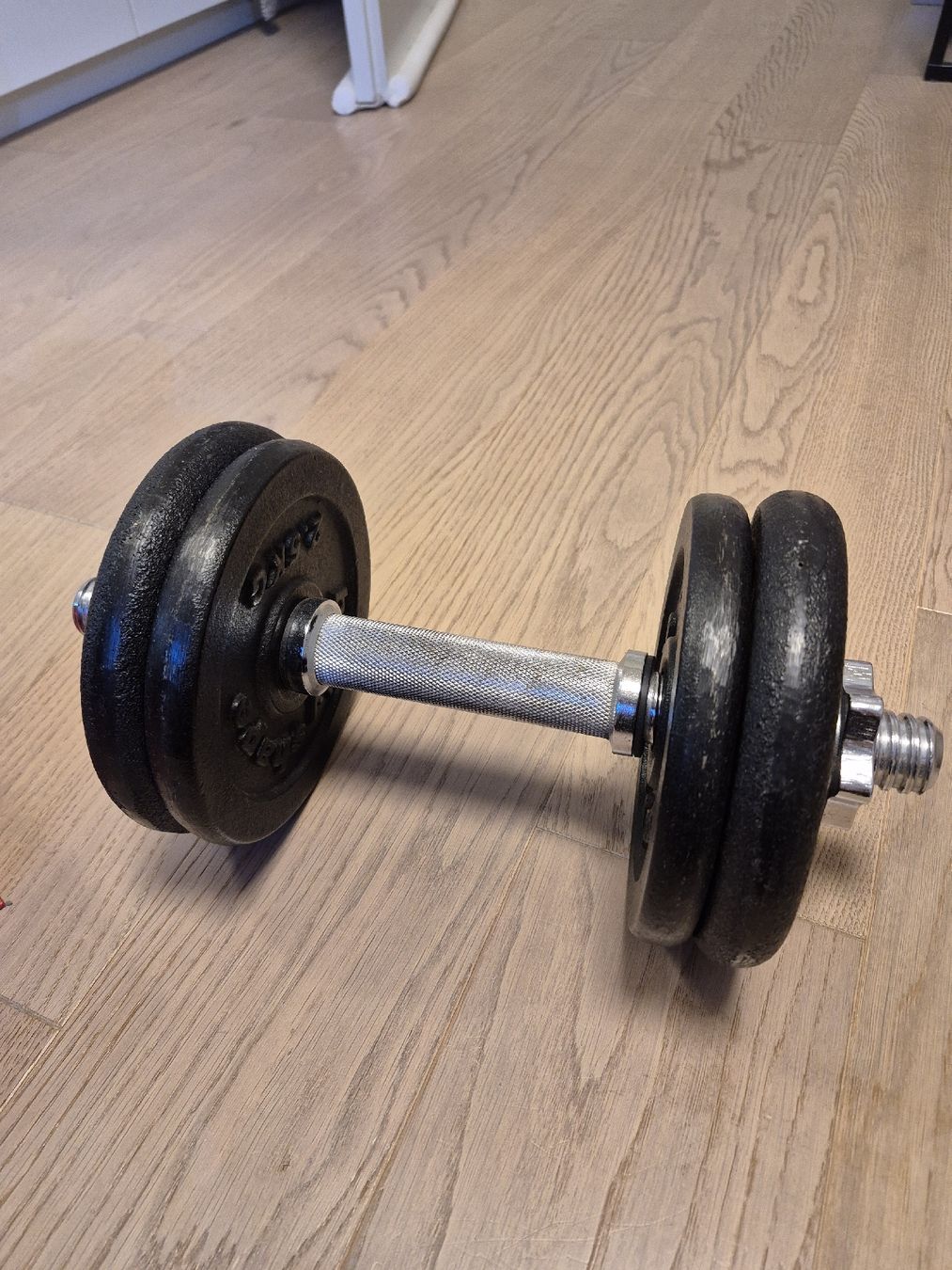 Bodyshape Manubri & Pesi: Bodyshape - Einzelhantel 7kg + 24kg Einzelgewichten – Usato da Sempach venduto da bue_d27g 3