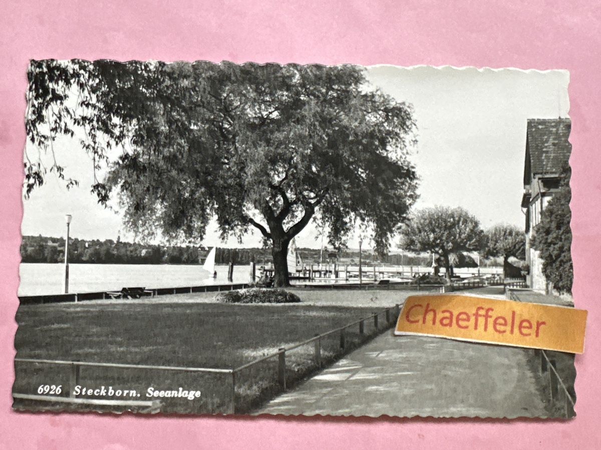 Cartoline postali: 1958  6926 Steckborn, Seeanlage – Usato da Zürich venduto da Chaeffeler