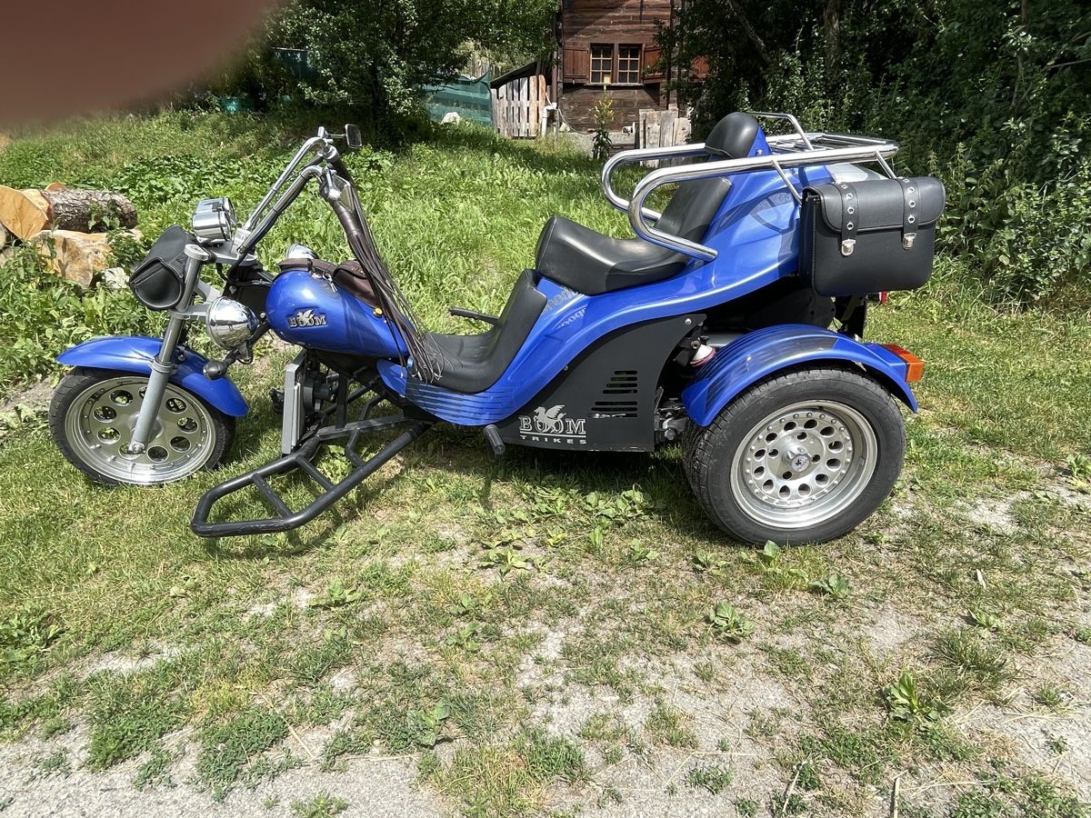 Boom-Trikes Dreiräder: Boom Trikes Picolo – Gebraucht aus La Tour / VS von patoye 2
