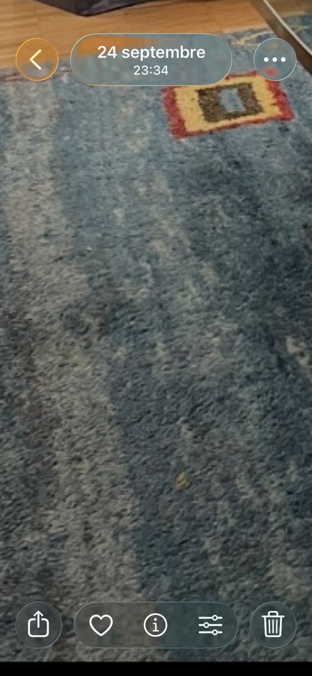 Gabbeh Tapis: Teppich – D'occasion à Genève par ani_96dj